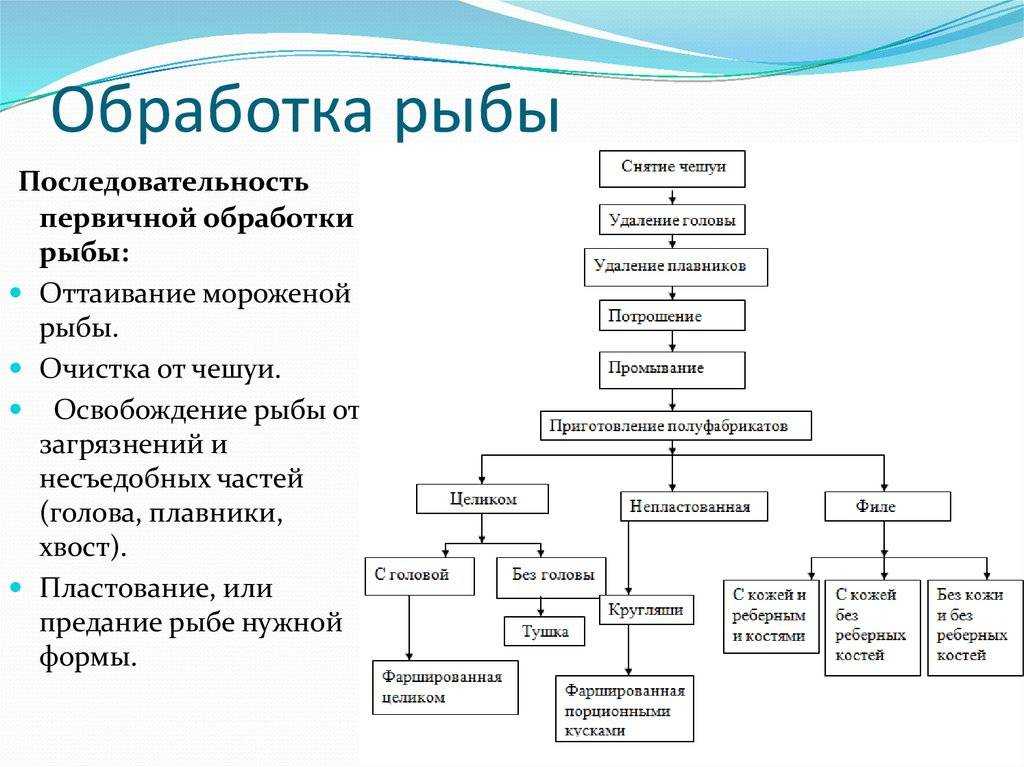 Гипофизарные инъекции в рыбоводстве (обзор подготовлен мироновым с. г.) | aquafeed.ru