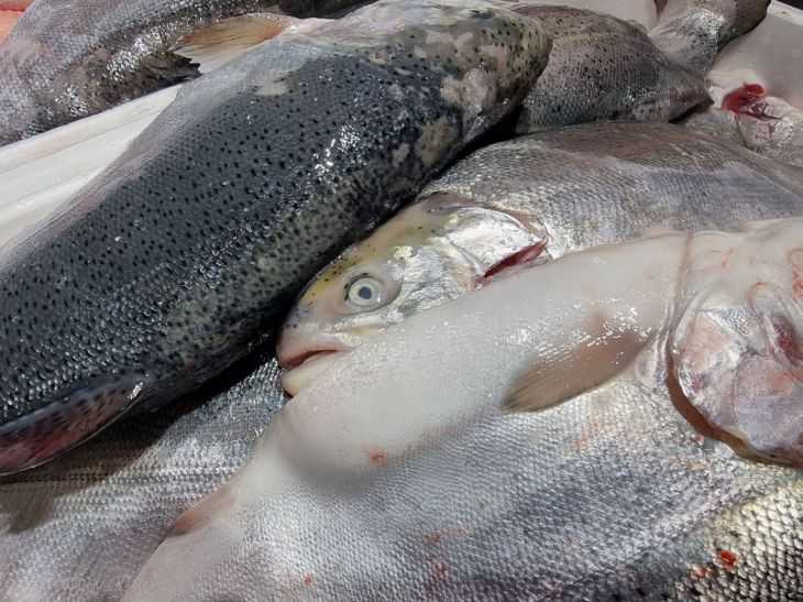 Как правильно размораживать мясо, рыбу, птицу - советы и рекомендации - 1000.menu