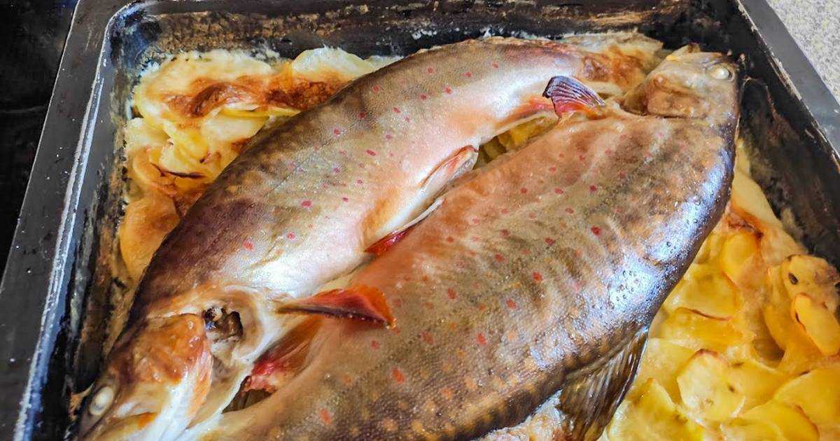 Рыба голец, рецепты приготовления, основные рекомендации