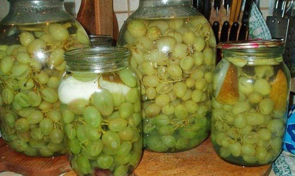 Самый вкусный компот из айвы. рецепты на каждый день