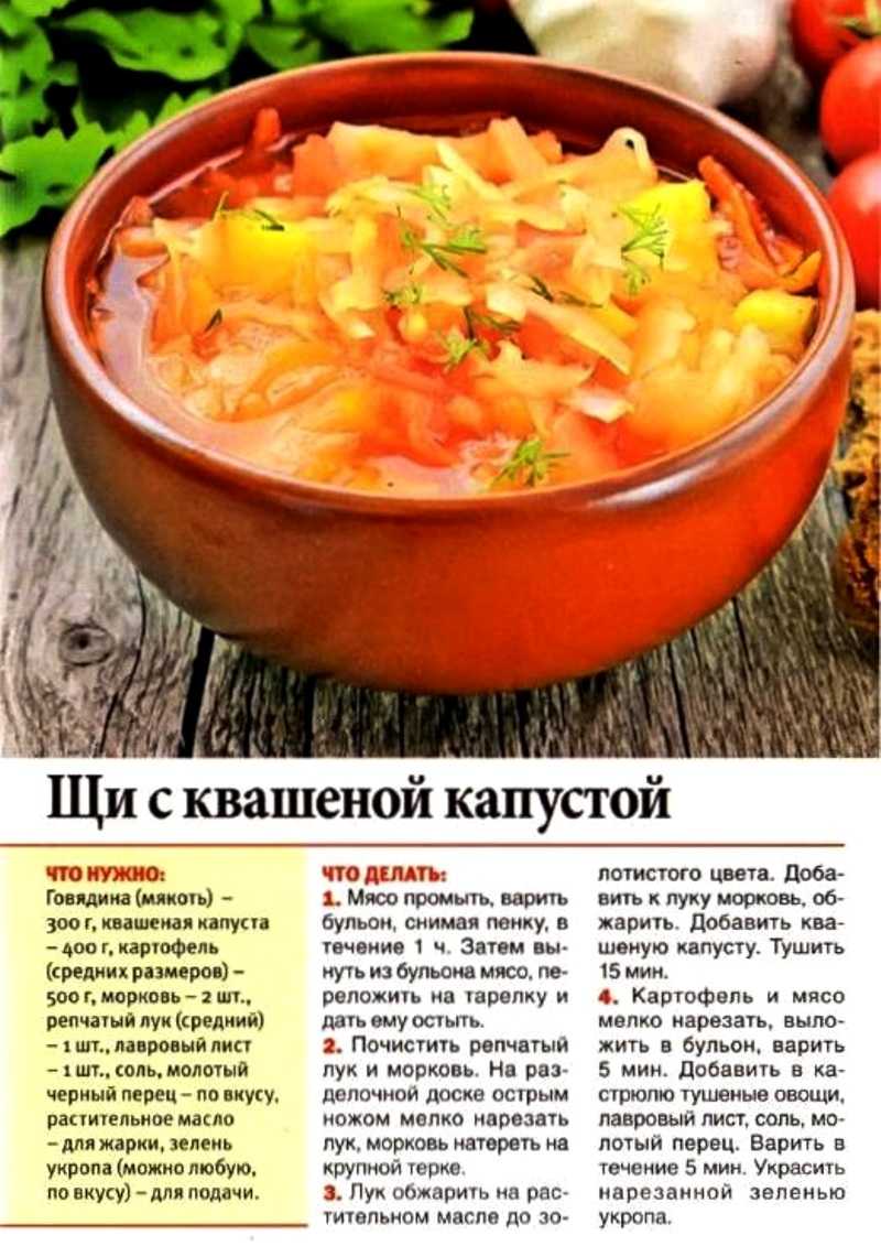Традиционные русские щи из свежей капусты, квашеной капусты и рецепты постных щей
