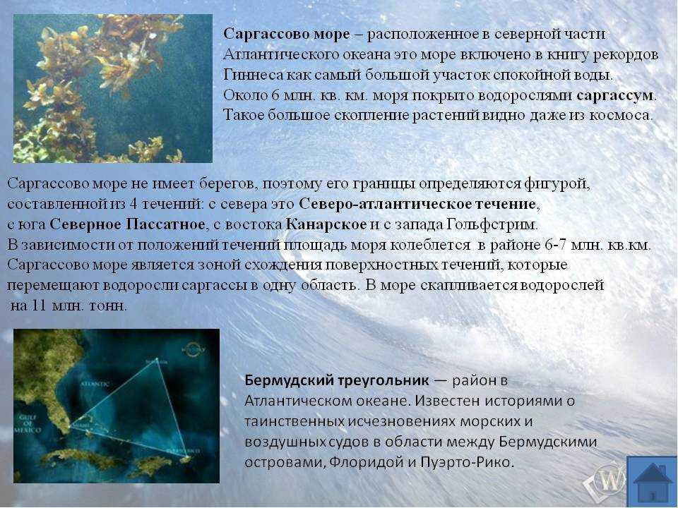 Как контролировать водоросли саргассума | водные растения | elastec