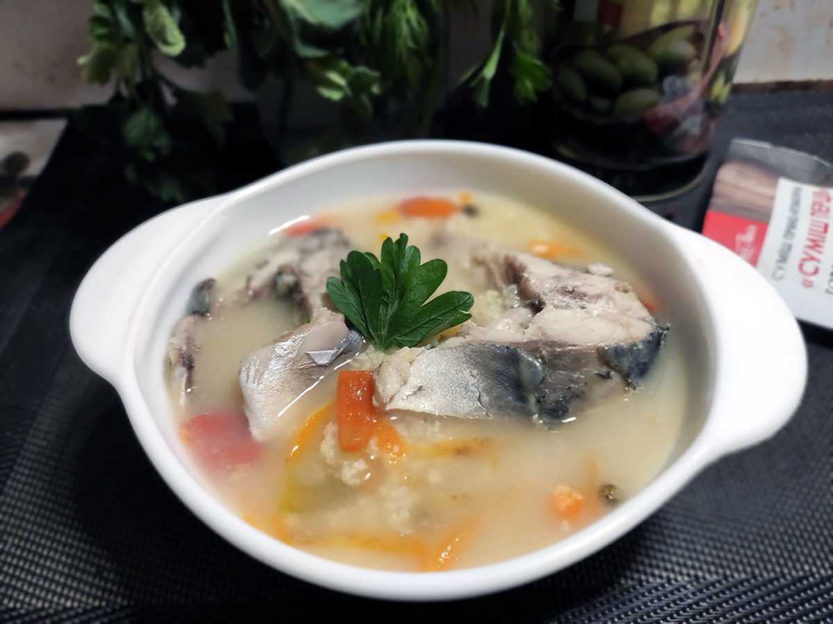 Рыбный суп (уха) из скумбрии свежемороженой — 9 самых простых и очень вкусных рецептов
