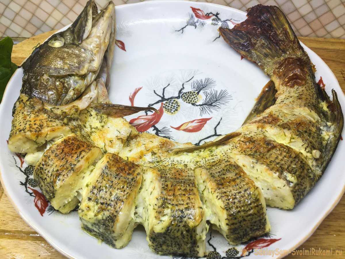 Как просто и вкусно приготовить щуку: лучшие рецепты