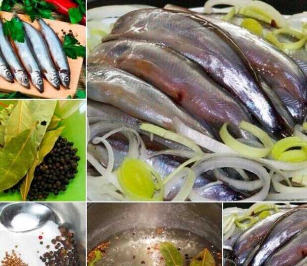 Как посолить мойву: 5 аппетитных рецептов
