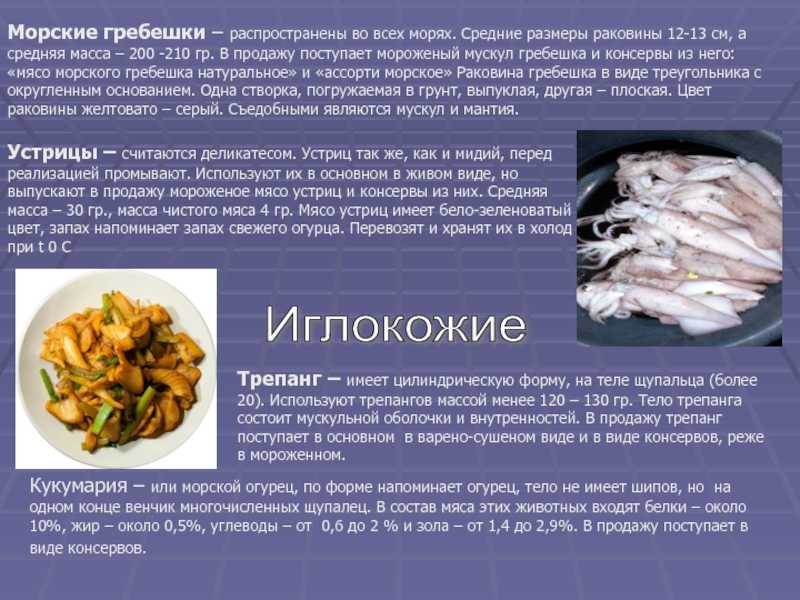 Морские гребешки