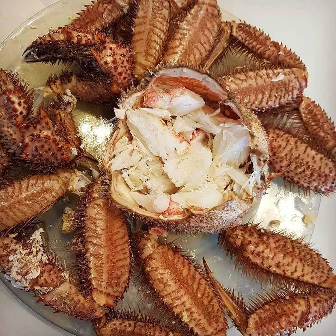 ⏰ как варить крабов и сколько времени. в какую воду класть, как правильно чистить и с чем вкусно подавать