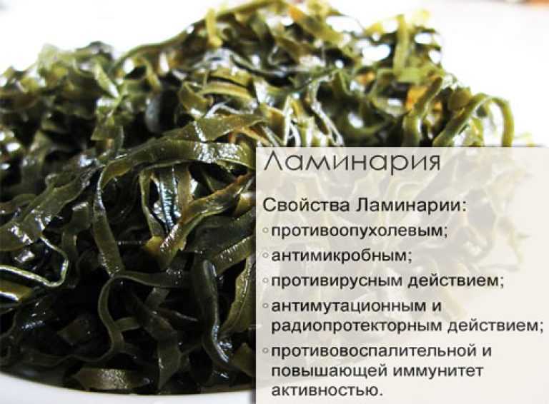 Морской индийский рис: полезные свойства и противопоказания