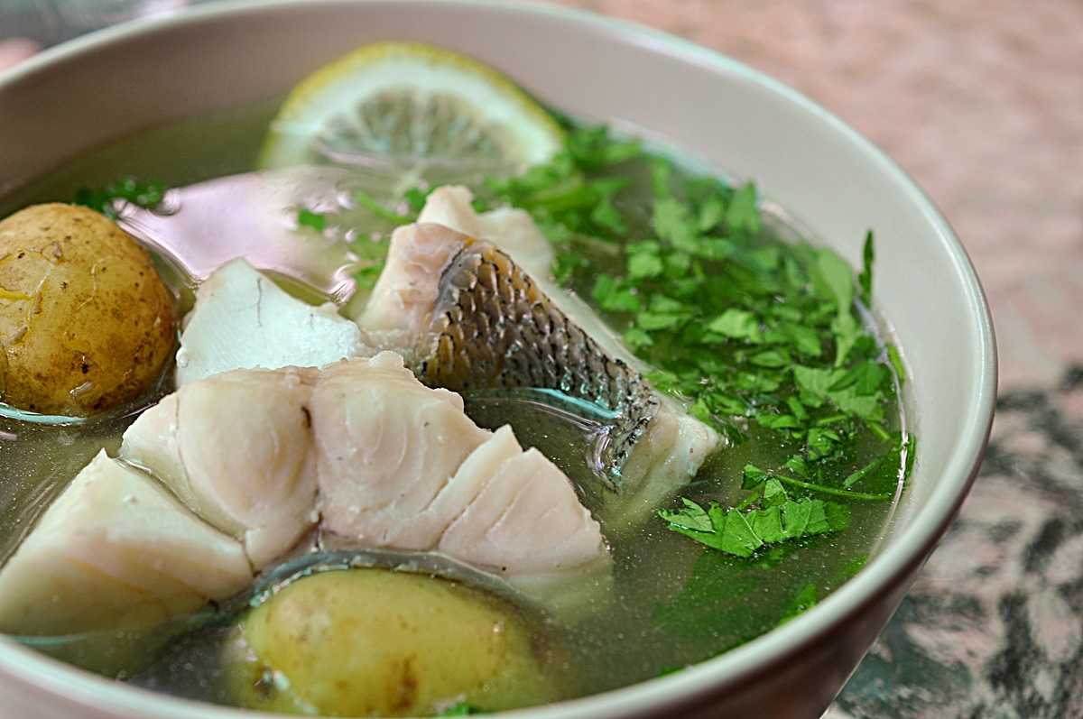 Как и сколько варить голову форели для ухи и рыбного супа