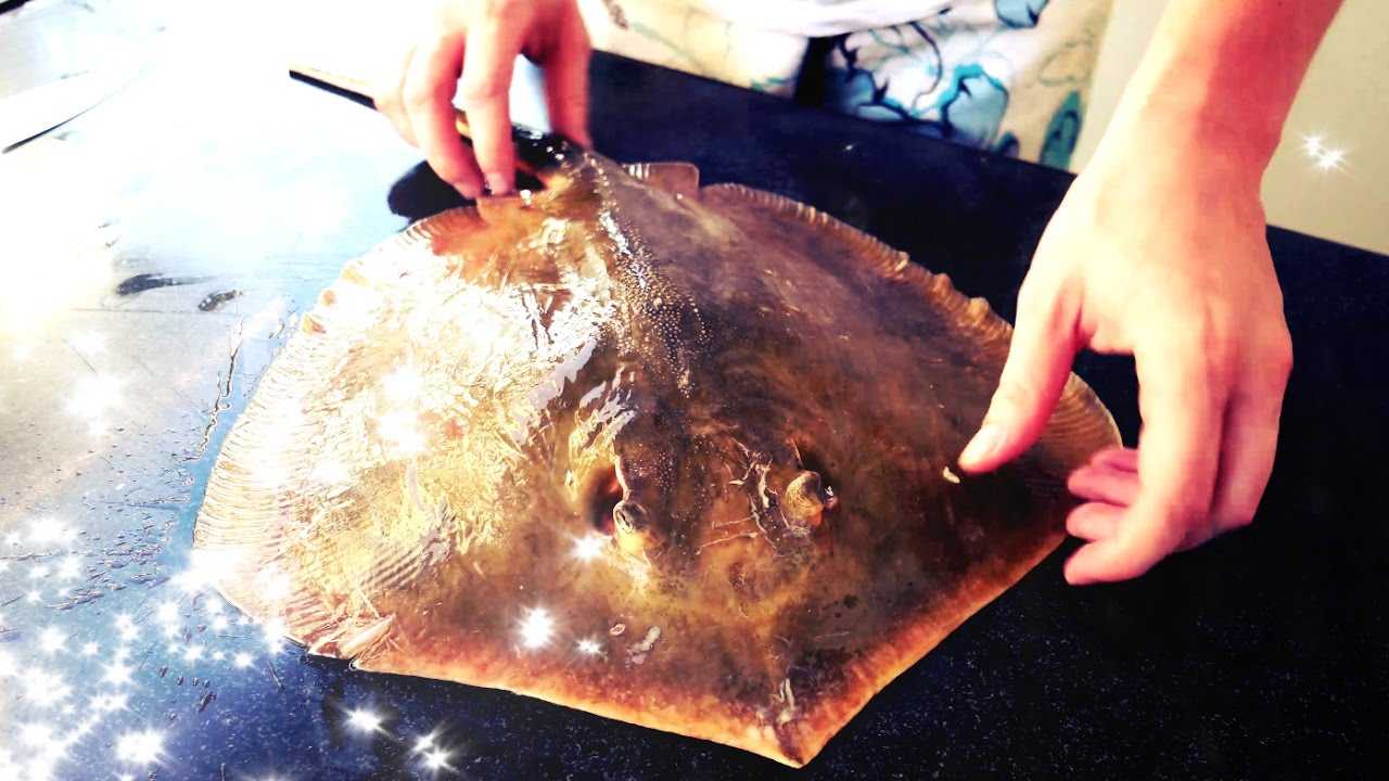 Крылья ската: необычный и весьма полезный деликатес
