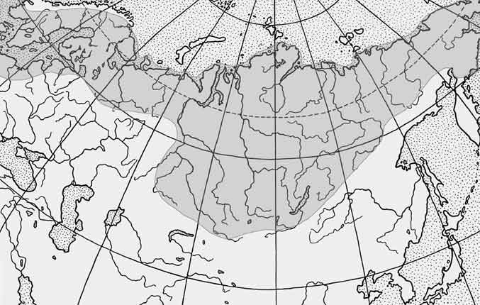Щука: описание и характеристики