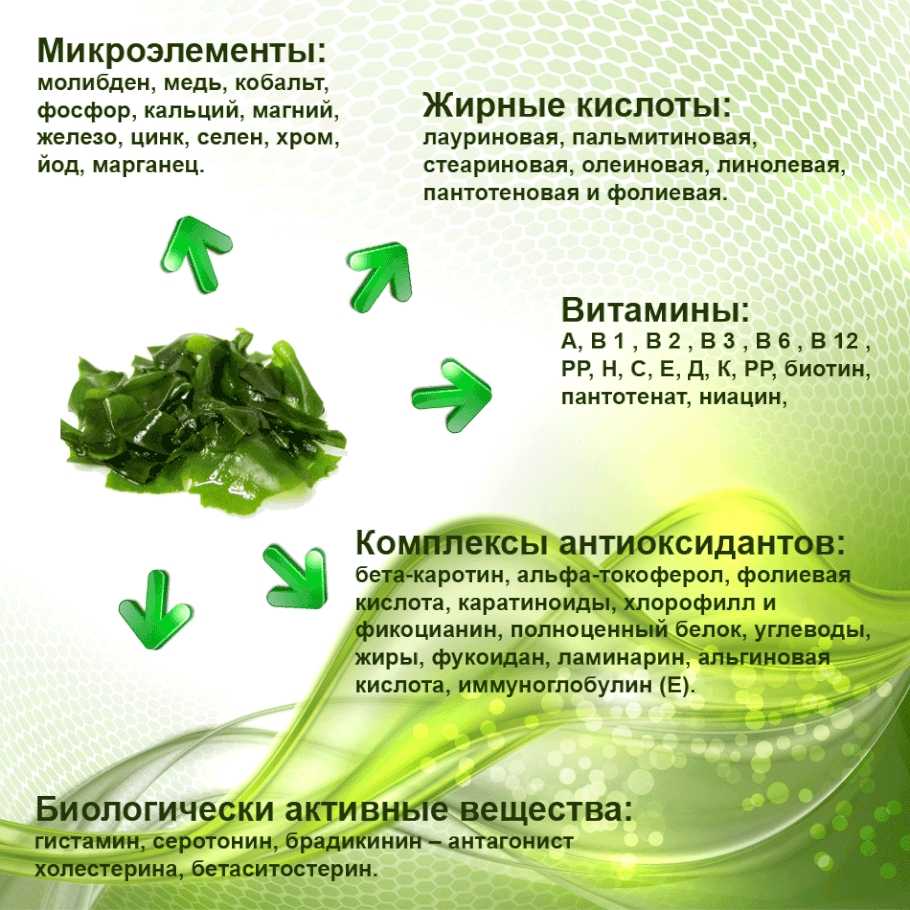 Морская капуста (ламинария) — химический состав и калорийность