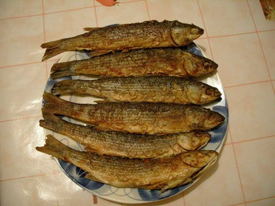 Вкуснейшая уха из кефали дома: этот суп понравится всем