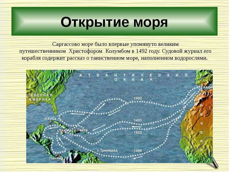 Как контролировать водоросли саргассума