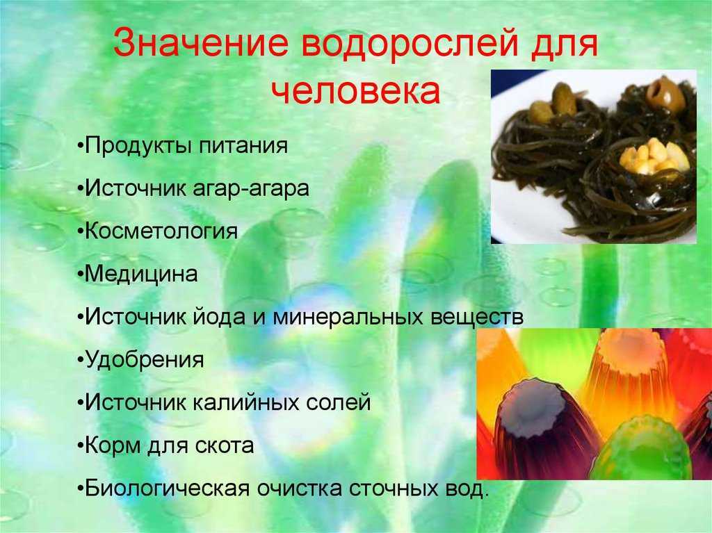 Сушеные водоросли нори: польза и вред, рецепты