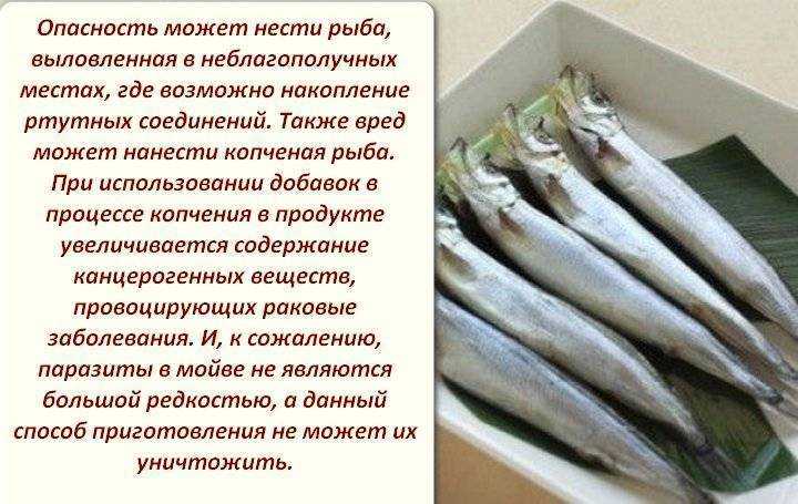 🚩 мойва - польза и вред для организма женщин и мужчин