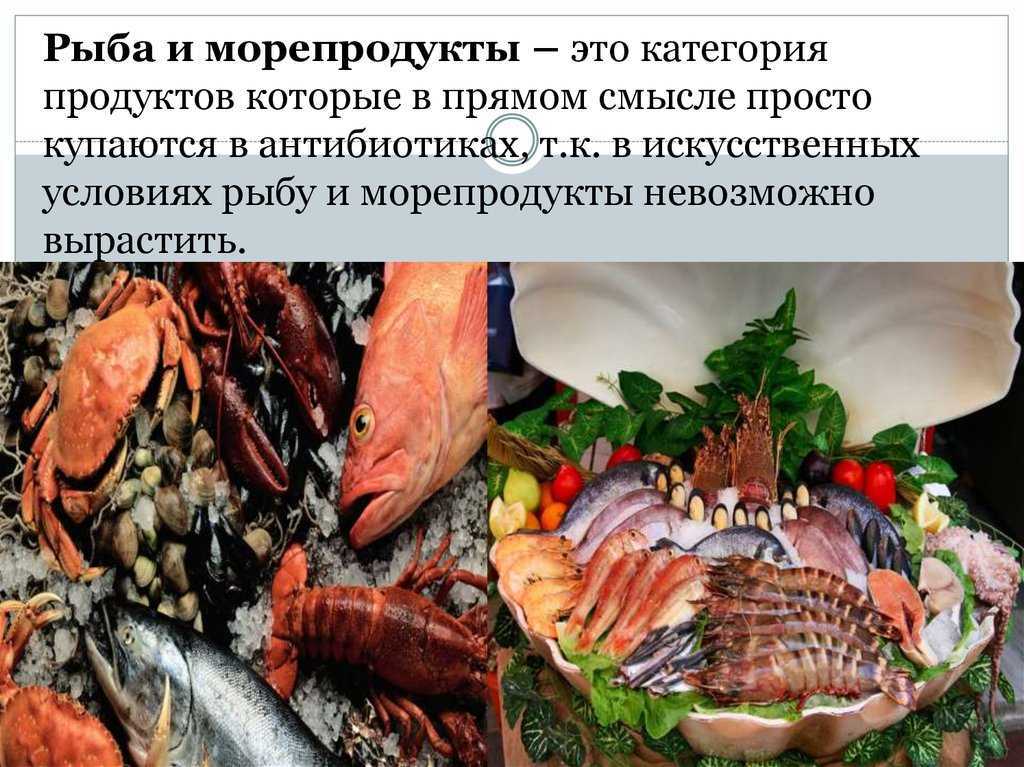 Топ-10 самых опасных рыб в мире, с которыми лучше не встречаться