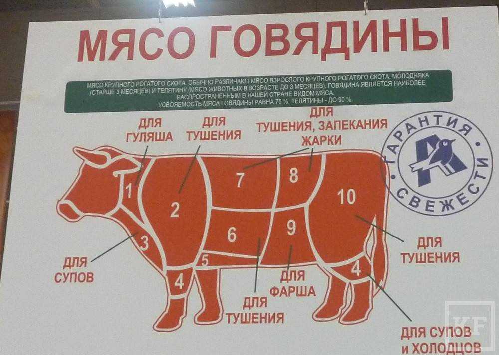 Какая часть говяжьей туши самая мягкая. как выбрать самую вкусную и мягкую часть говядины: рекомендации профессиональных поваров