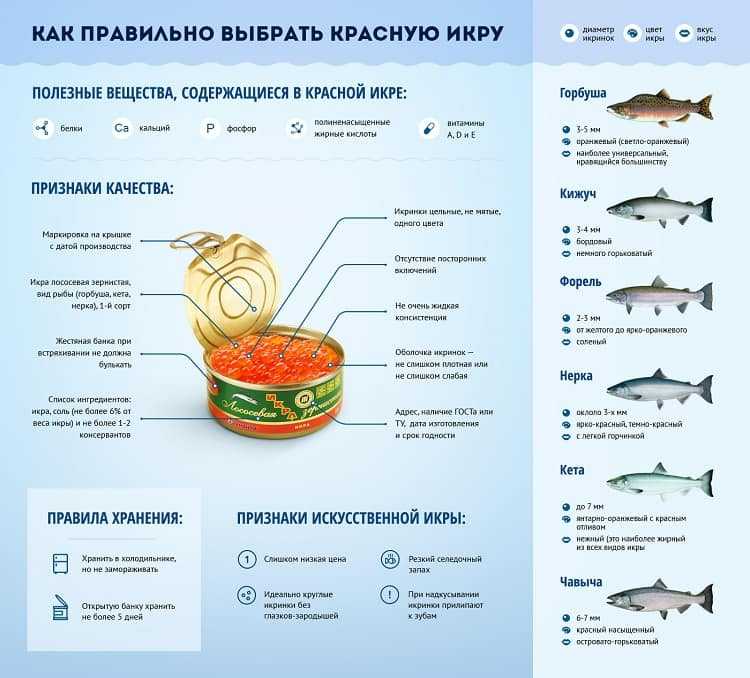 Чья икра из лососевых рыб крупнее, вкуснее, полезнее, дороже, ценнее — кеты, нерки, кижуча или горбуши: сравнение. красная икра: какая бывает, какая самая лучшая и чем отличается у разных лососевых рыб? лучше красная икра: крупная или мелкая?