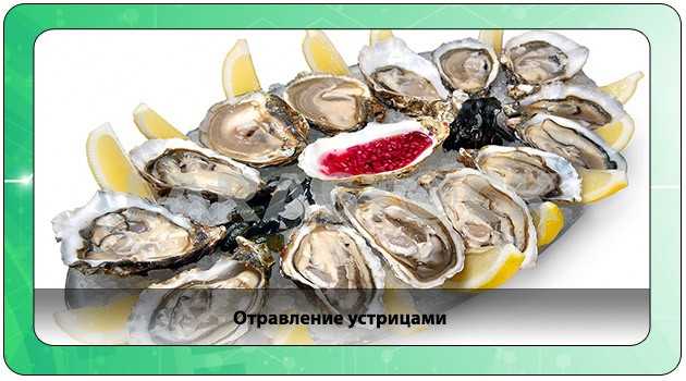 Отравление устрицами: через сколько времени появляются симптомы и как их распознать
