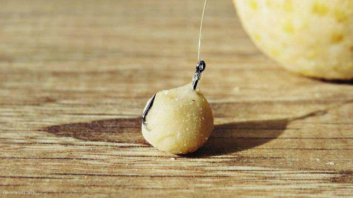 Как сделать тесто для рыбалки на плотву, карася, карпа, леща
