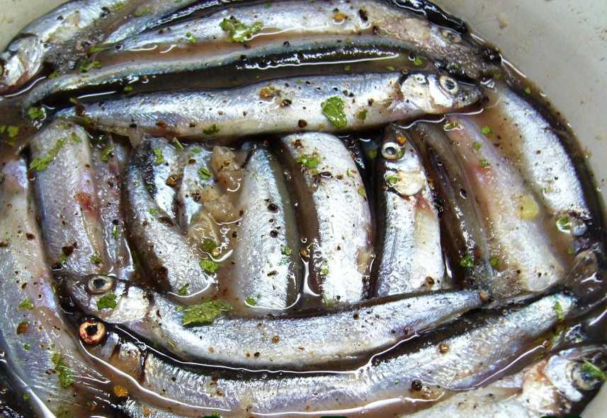 Как вялить рыбу в домашних условиях. рецепты, фото и видео