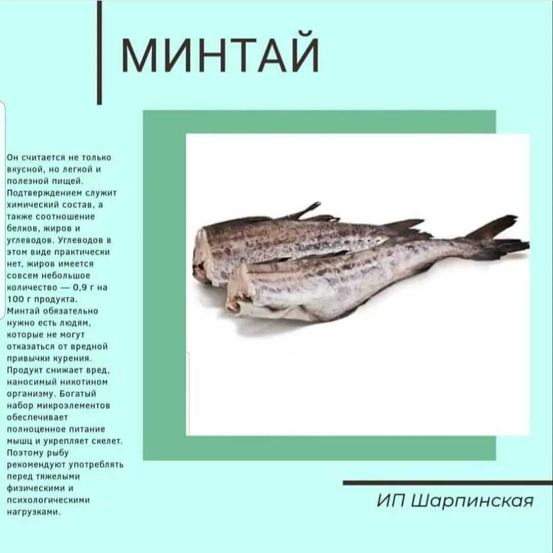 Минтай чем полезен польза и вред для организма