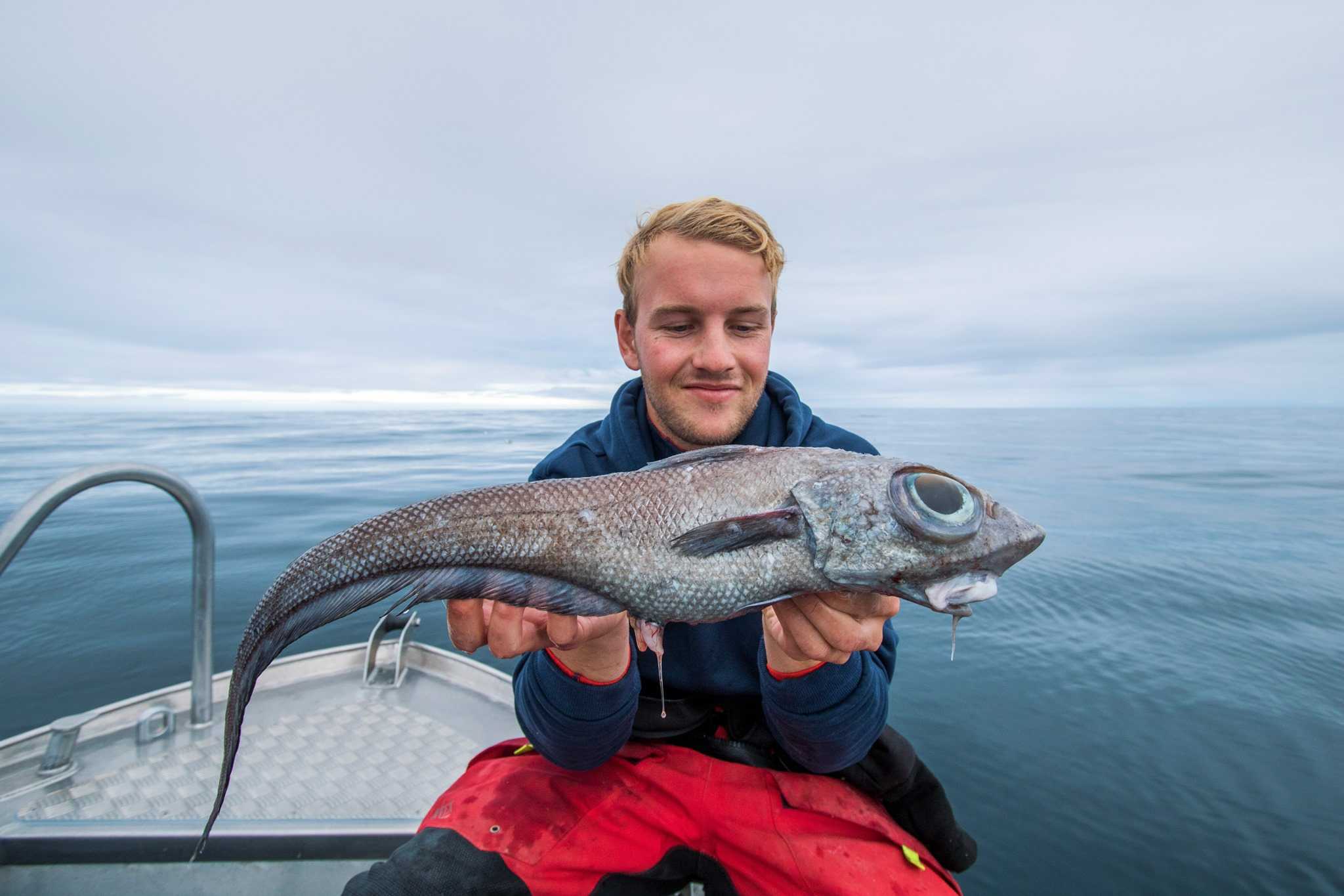 Морской заяц рыба рецепты