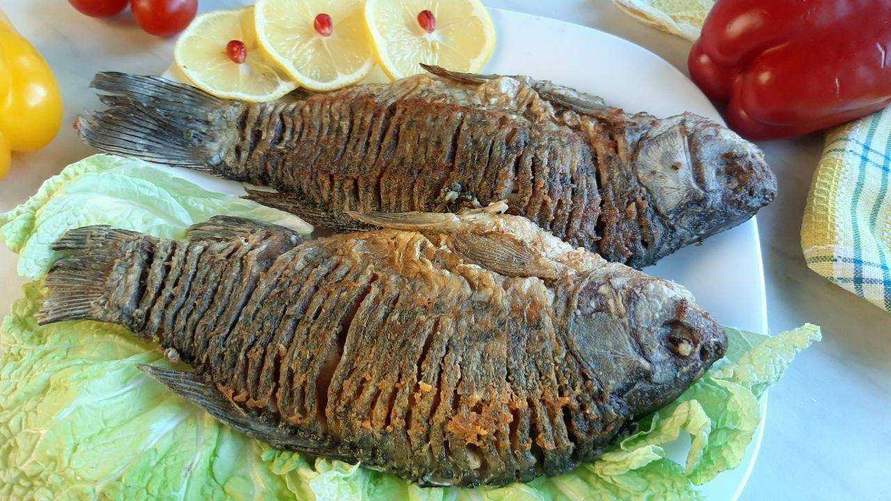 Рыба для ухи: из какой получается самая вкусная, как лучше варить