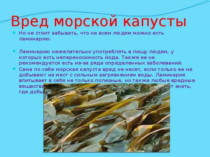 Морская капуста: польза, вред и калорийность | food and health