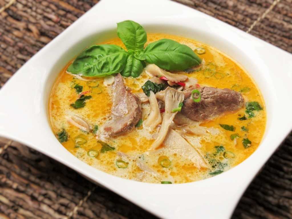 Суп из утки домашней или дикой - как приготовить вкусное первое блюдо