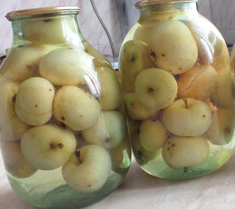 Рецепты приготовления малиново-яблочного компота