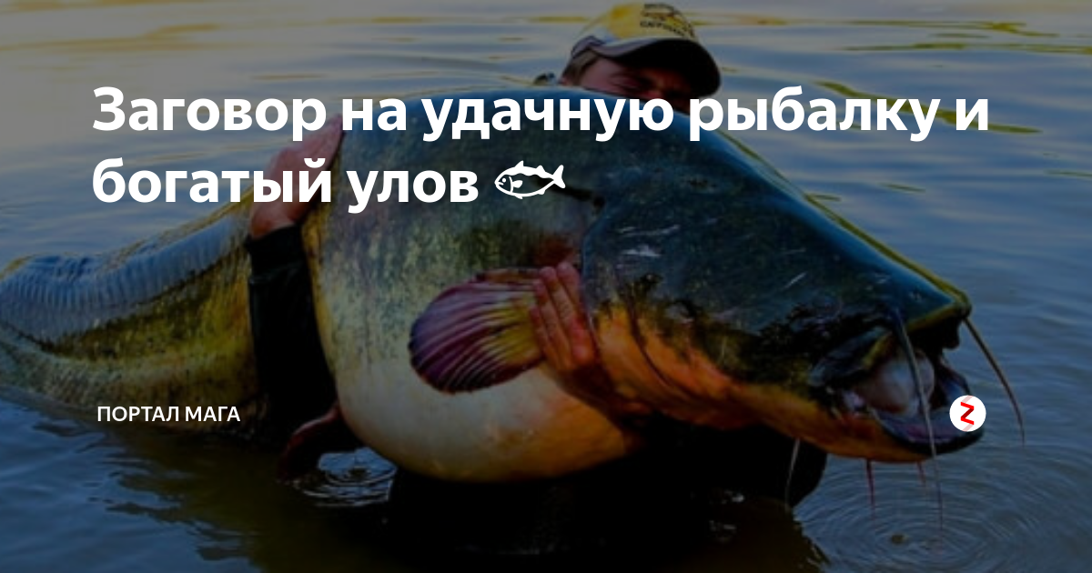 Выбор приманки для чайников. ловим в прибрежной зоне.