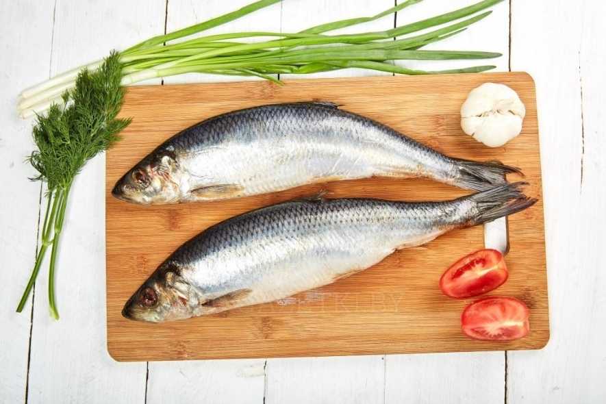 Рыбные новости – новости рыбной индустрии на fish25.ru