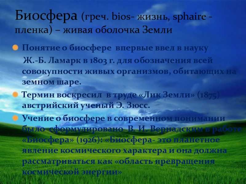 Интересные факты о крабах