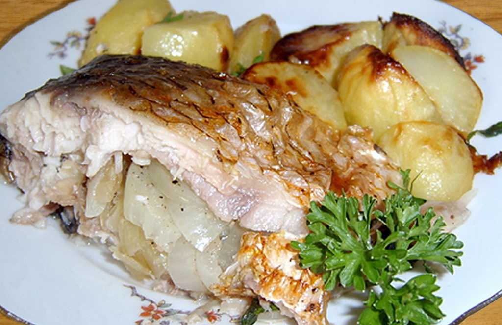 Сазан в духовке: рецепты, как вкусно приготовить запеченную рыбу, фото