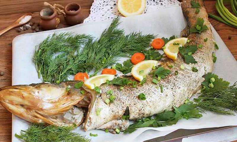 Блюда из судака: рецепты с фото простые и вкусные