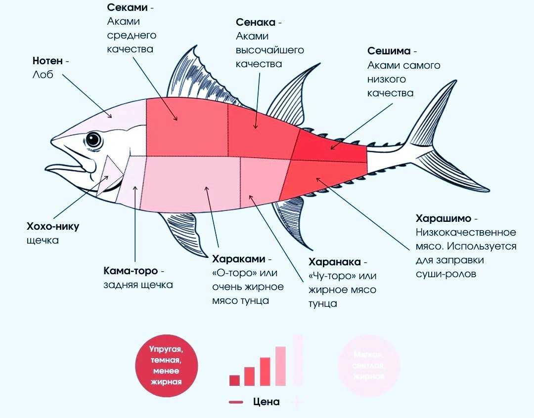Топ интересных кулинарных рекордов «книги гиннесса», которые удивили мир