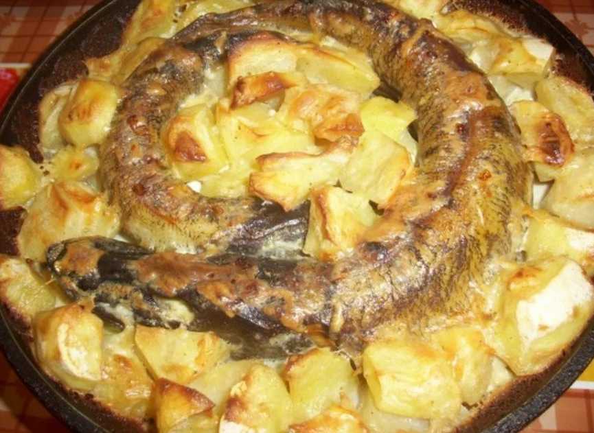 Готовим вкусно щуку в домашних условиях - 2 основных рецепта
