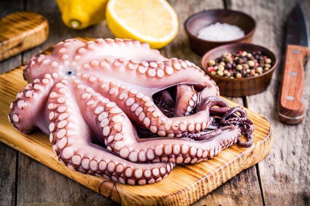 Осьминог: польза и вред, калорийность, чем полезен морепродукт для мужчин, женщин и детей?