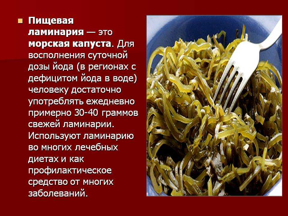Морская капуста (ламинария) – польза и вред для организма