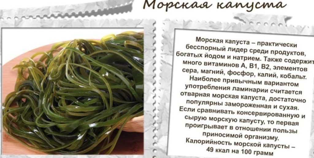 Интересные факты о водорослях нори