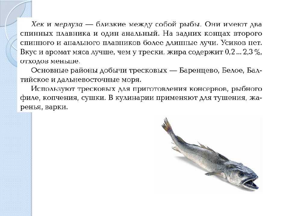Оптимальное соотношение белков, жиров и углеводов для правильного питания – нутрициология