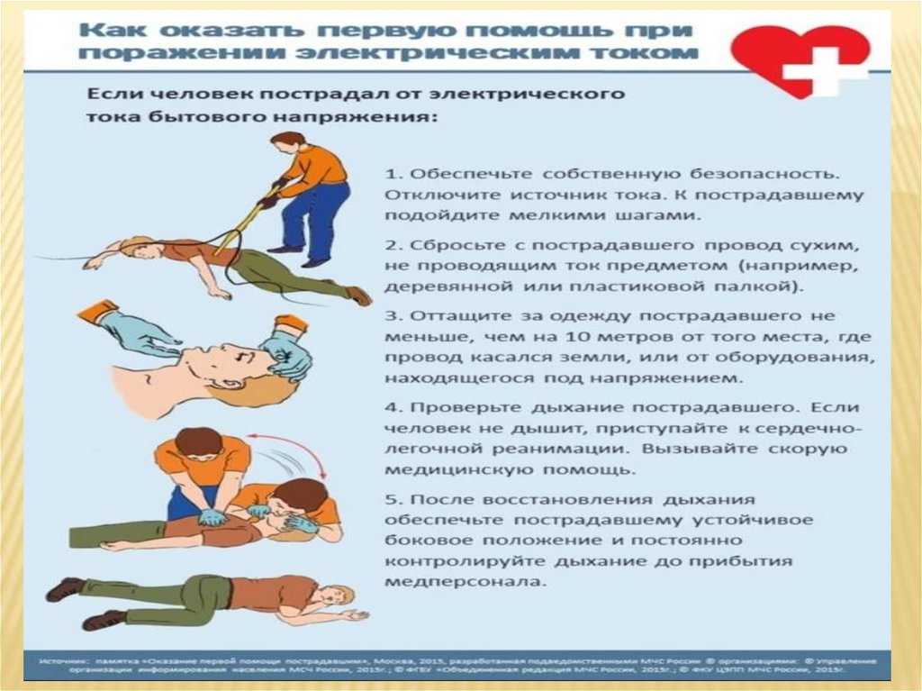 Интересные факты о скатах