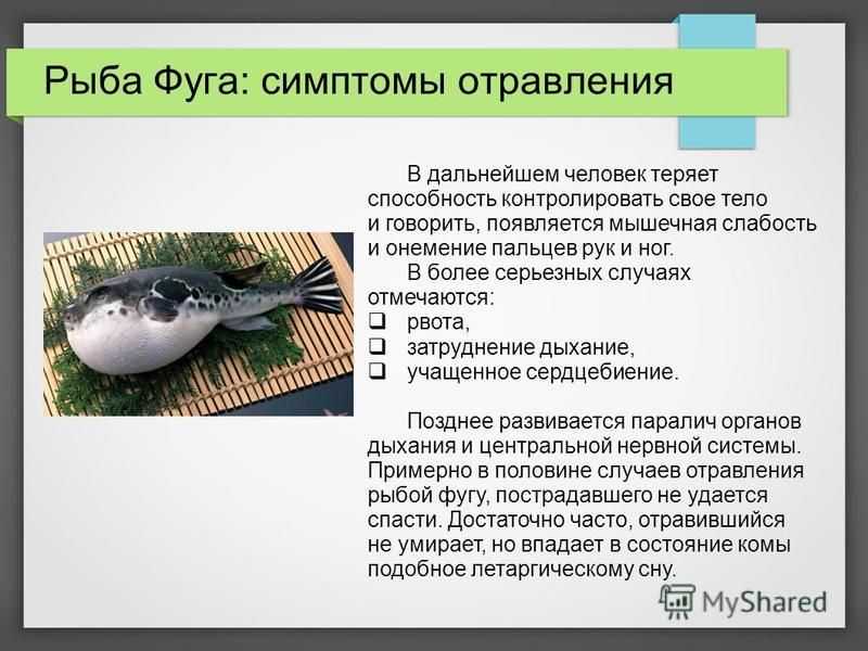 Масляная рыба: польза и вред для организма, беременных, фото