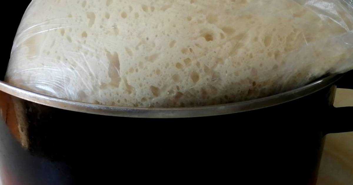 Рыбный пирог из свежей рыбы – 10 простых и очень вкусных рецептов