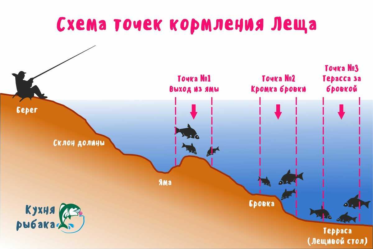🚩 какую рыбу хочет поймать каждый рыбак