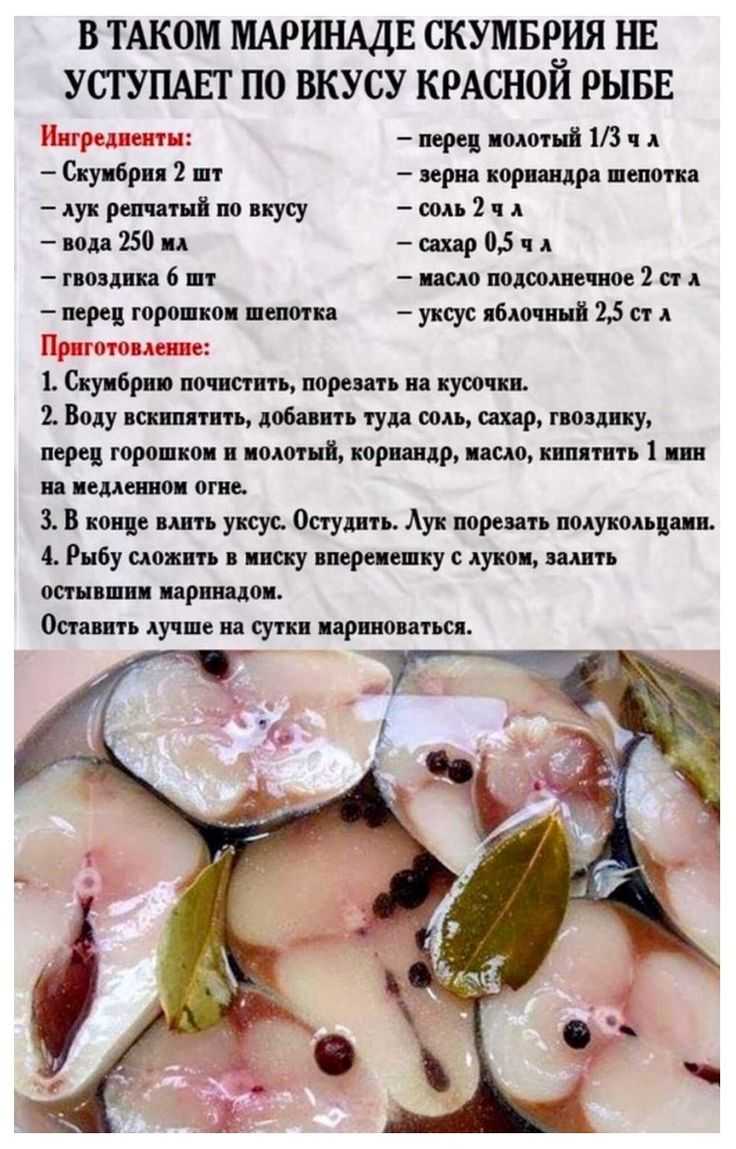 Рыбак из мурманска умоляет не делать постыдных ошибок в засолке красной рыбы »