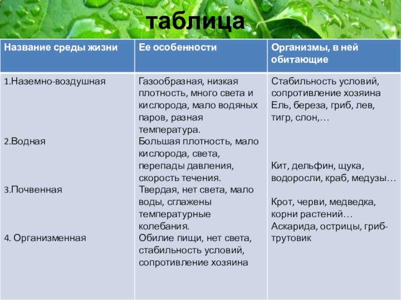Быстрянка