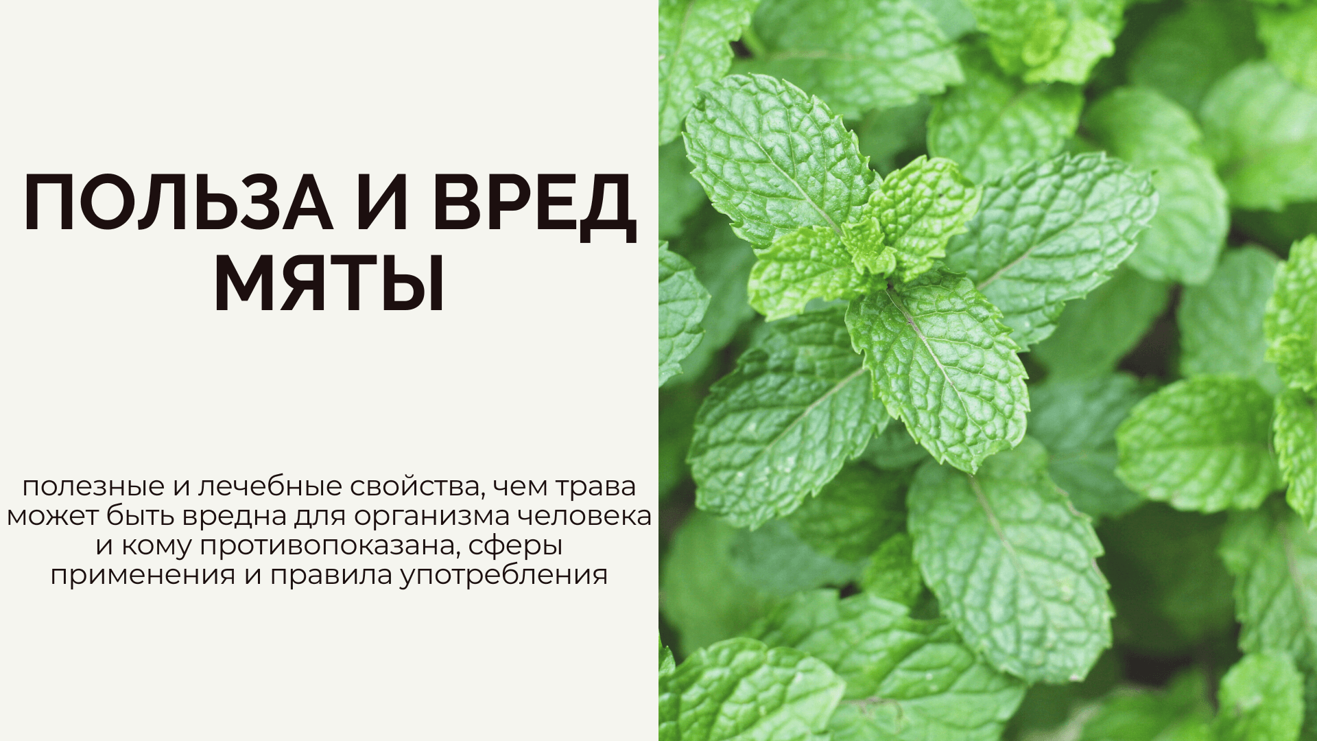 Что означает глазурованный лед?